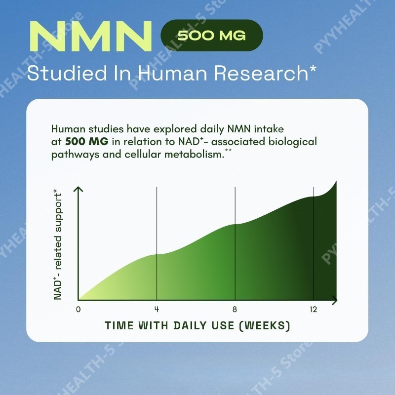 NMN NAD+ 지원 캡슐 1000mg, 퀘르세틴 함유 - Wellness Quercetin 리뷰 및 가격